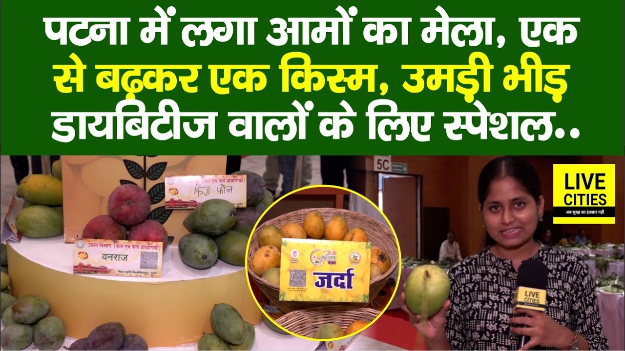Mango Festival 2025: Patna में लगा आमों का मेला, एक से बढ़कर एक किस्म, Diabetes वालों के लिए स्पेशल