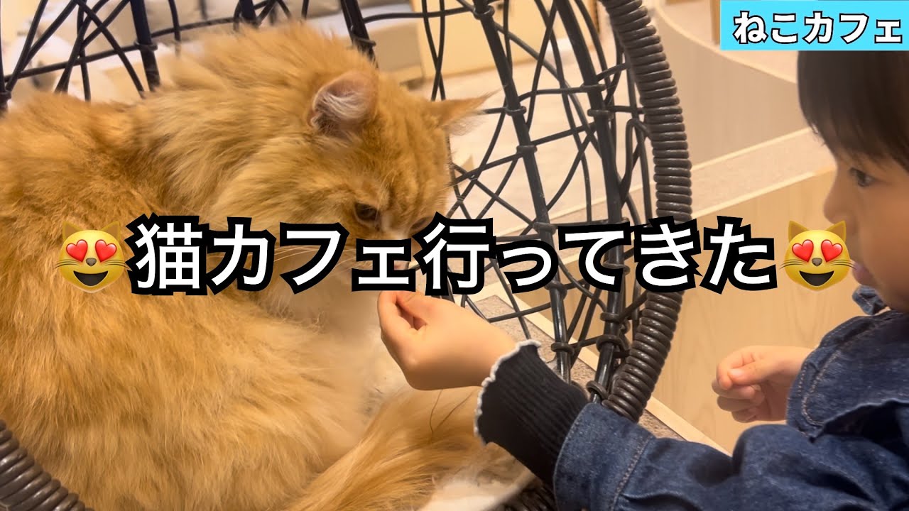 猫カフェ行ってきた！！！