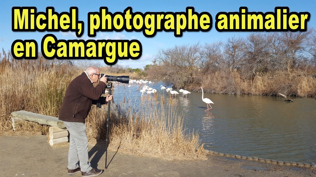 Michel, photographe animalier en Camargue - Provence