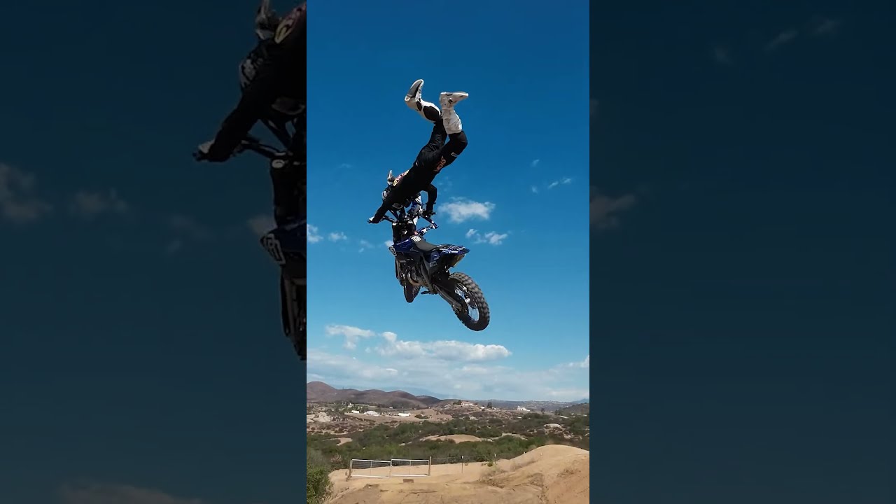 Jarryd Mcneil and David Rinaldo Twisted Up