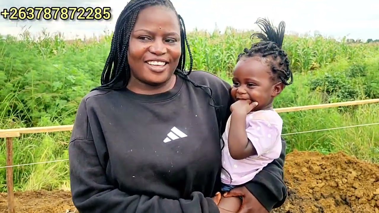 Mevhilulu kuchemera mango dzepamba pevanhu.Ndamboinda kumakomba. Kundisvodedza kuramba kusekerera