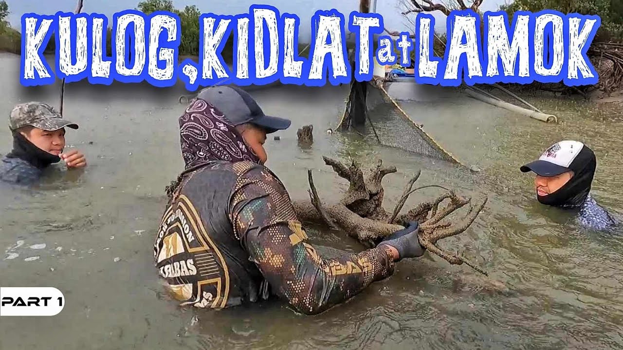 P1-KULOG, KIDLAT AT LAMOK - EP1364