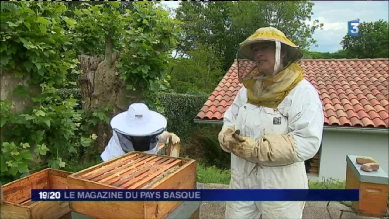 Happy culture ! Les abeilles du Pays basque ont encore de l’avenir