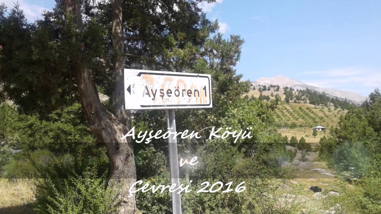 Ayşeören Köyü/Göksun/K.Maraş 2016