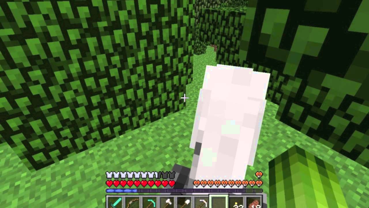 Minecraft Survival EP.10-Tim The Tiny Horse!