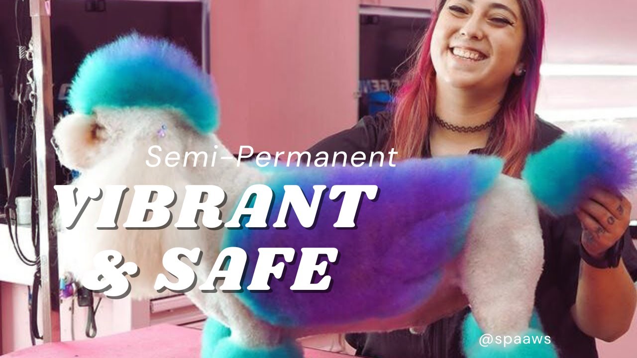 Creative Color Dye Vibrant & Safe For Pets! OPAWZ Semi-Permanent Dyes #opawz #creativegrooming