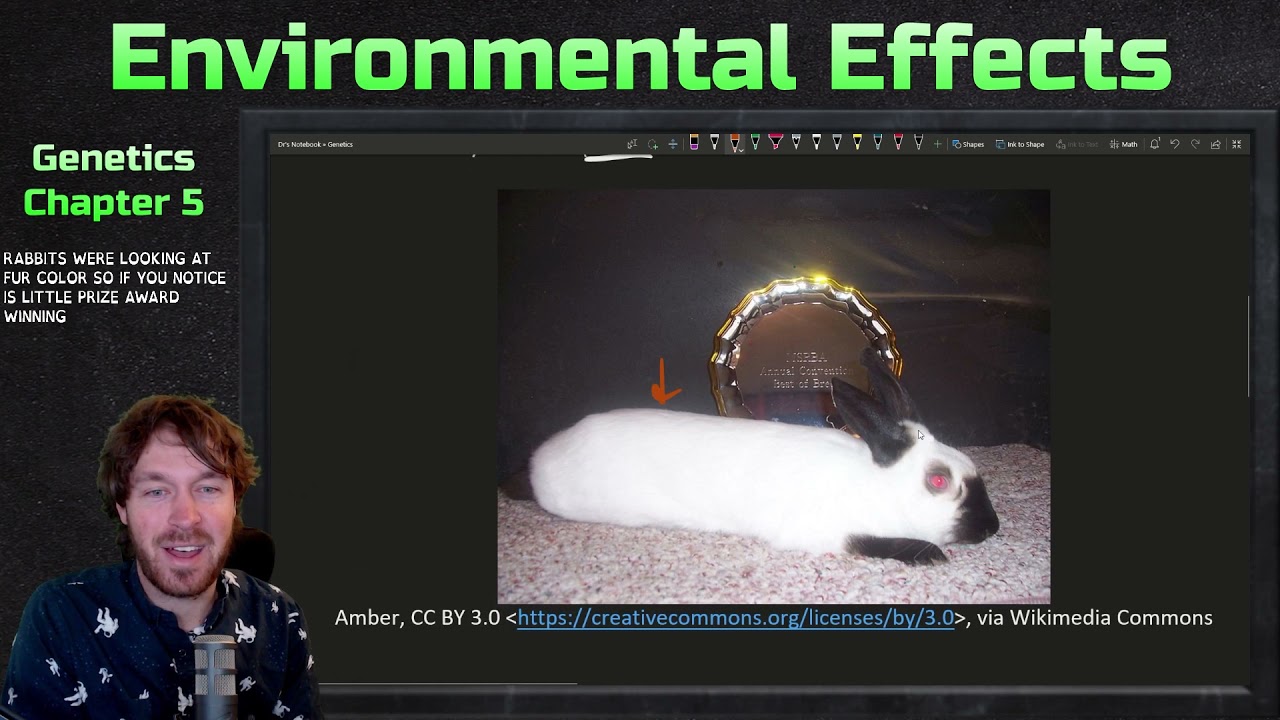Environmental Effects | Genetics Ep. 19