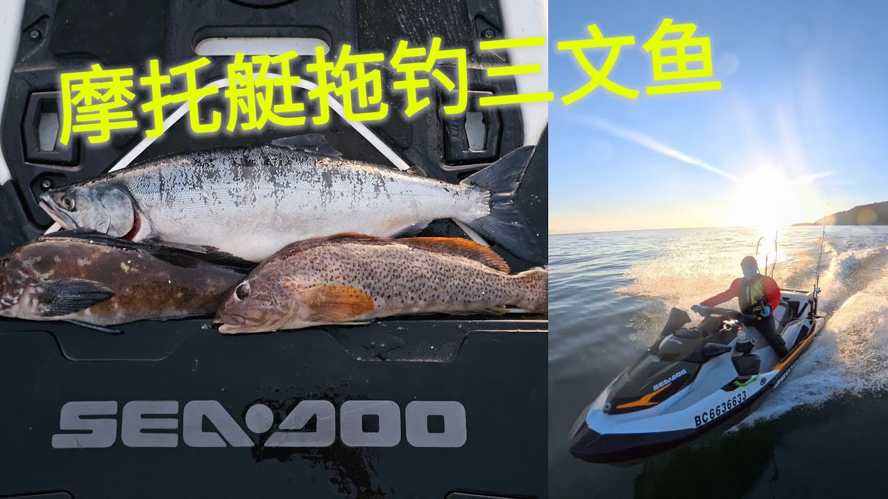 摩托艇拖钓三文鱼 Jetski trolling for salmon