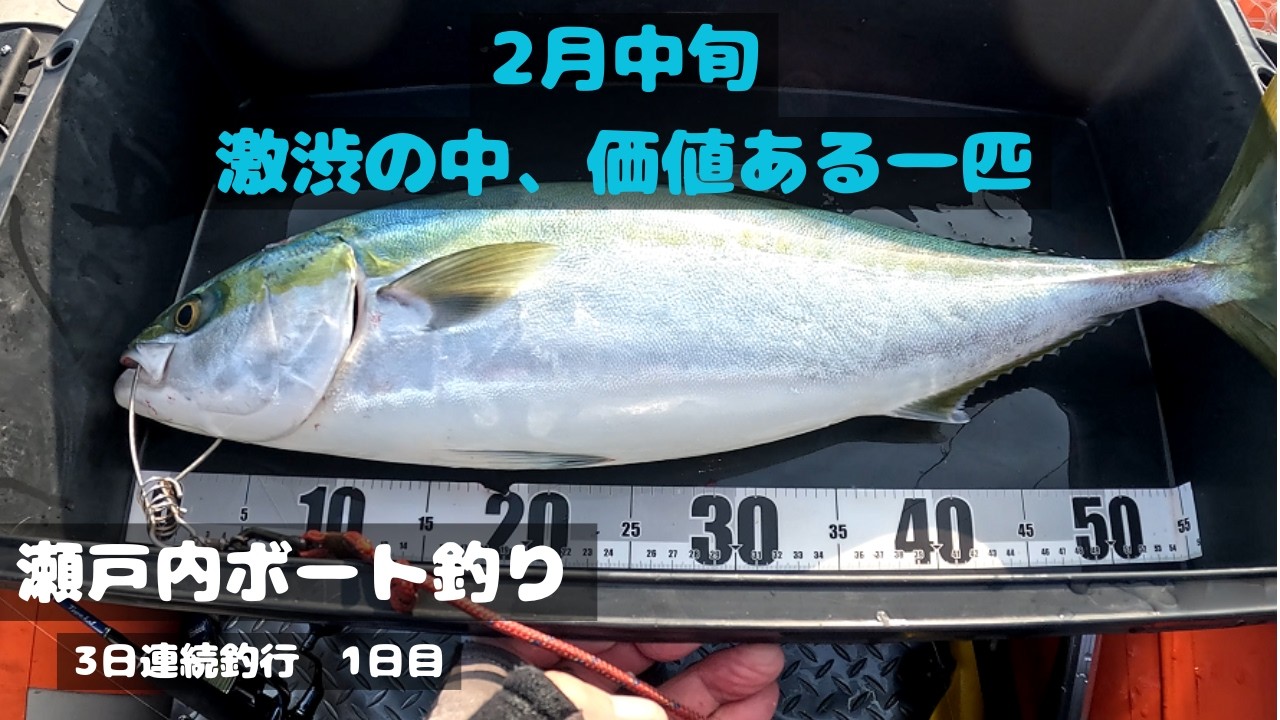 【ジギング】【タイラバサビキ】【瀬戸内】2026年2月中旬、3日連続釣行1日目・・・激渋の中、何とか一匹ゲット