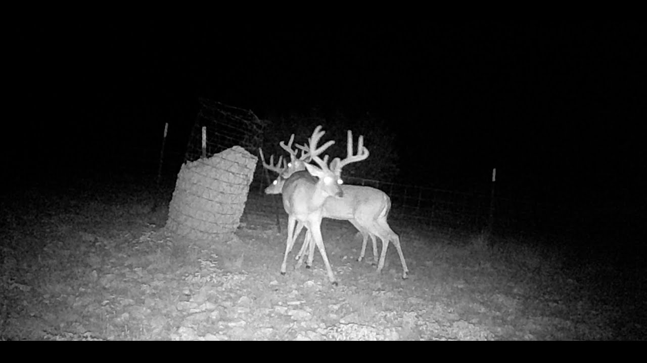 +/-100 Acres w House. Abundant Game #westernhillcountryrealty #huntingland   104 Maserati Ranch