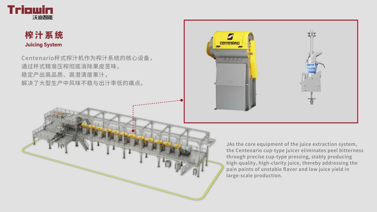 Citrus juice processing line/citrus extraction machine #machine #foodmachine #fruitprocessing