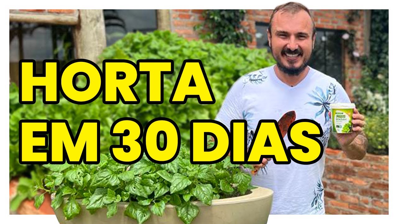 3 HORTALIÇAS que crescem em 30 dias na sua HORTA