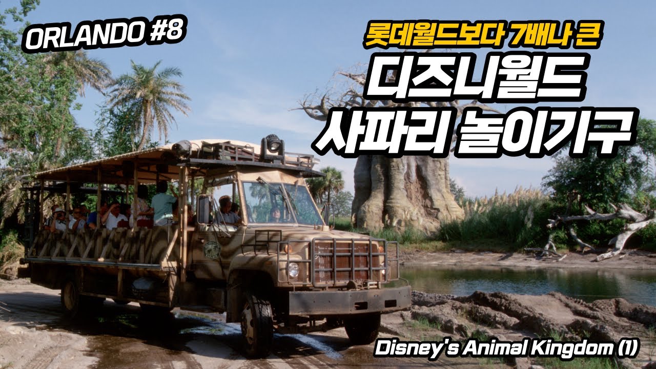 롯데월드 7배 크기의 사파리 놀이기구가 있는 곳 : 올랜도 디즈니월드 애니멀 킹덤 (1) Disney's Animal Kingdom