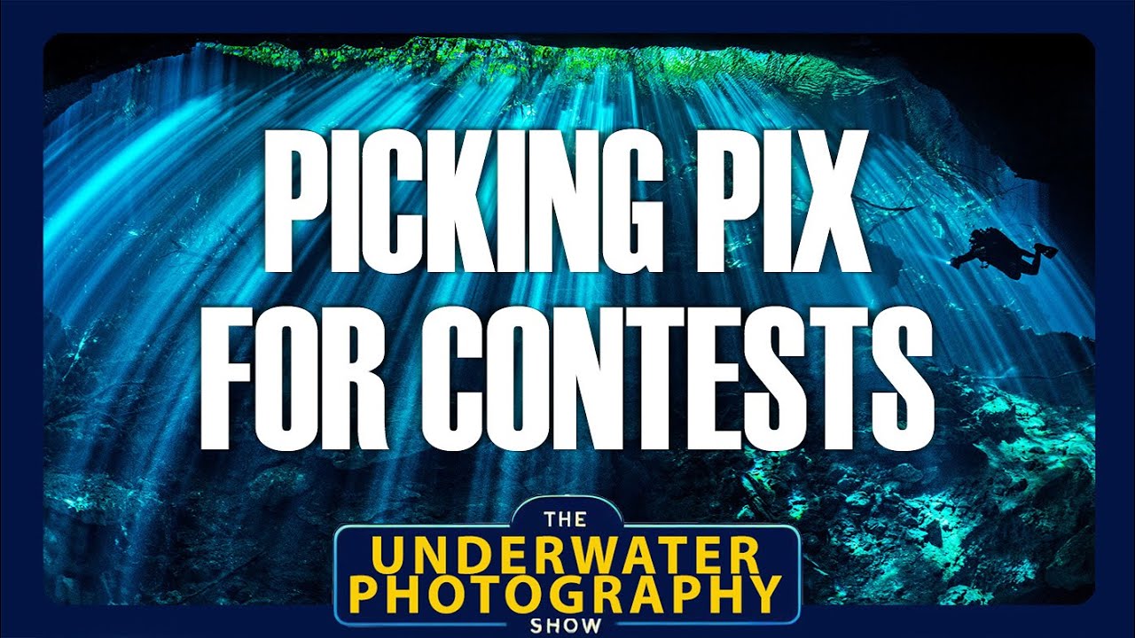 How To Pick Photo Contest Winners
