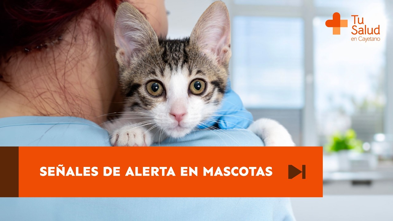 Señales de alerta en mascotas | Tu Salud en Cayetano
