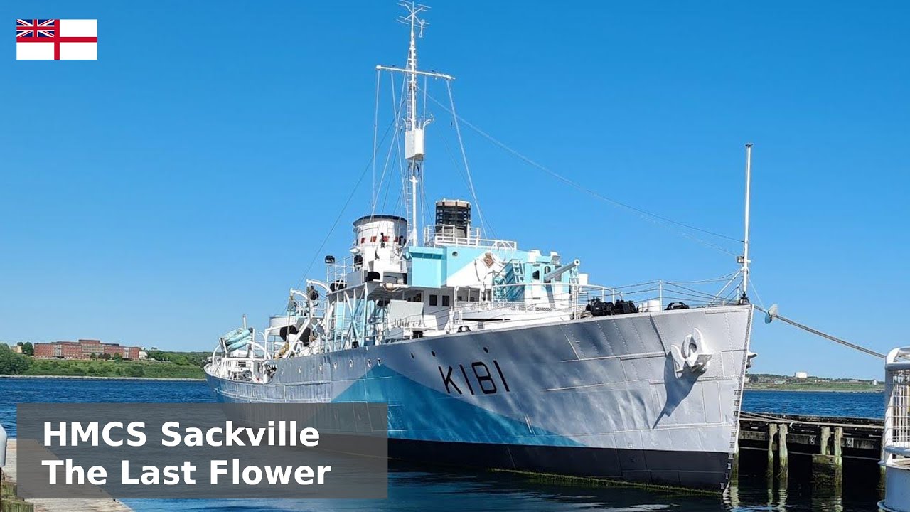HMCS Sackville - The Perennial Flower