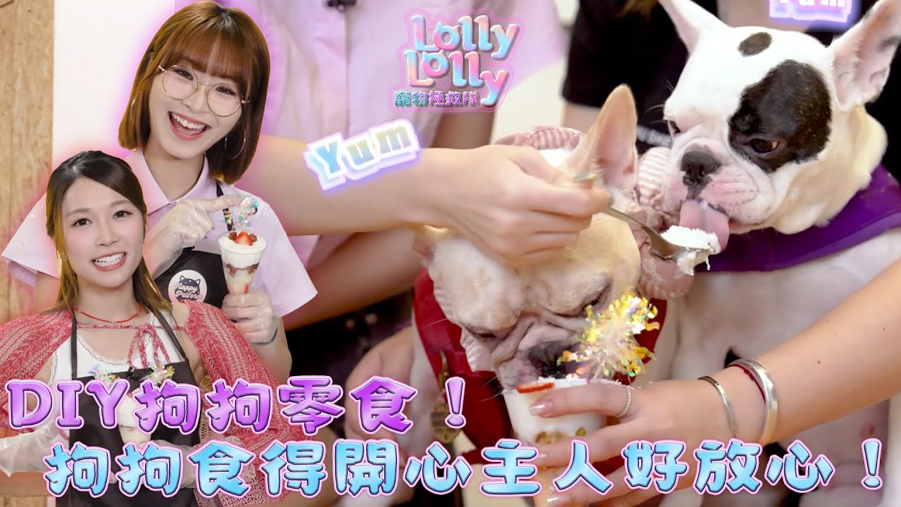 DIY狗狗零食！狗狗食得開心主人好放心！｜ Lolly Lolly寵物拯救隊 ｜EP7｜ Lolly Talk ｜ 寵物 ｜ HOY TV