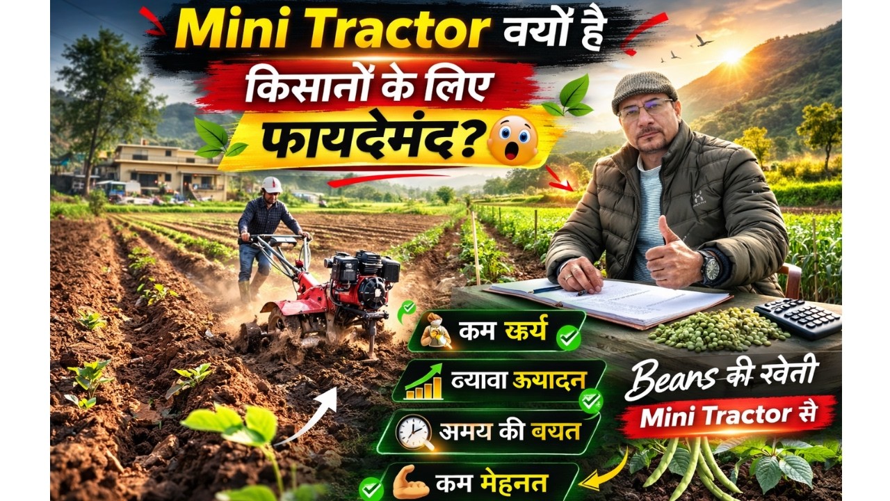 छोटे किसानों का बड़ा साथी! 🚜🔥 | घर में Beans लगाने का सबसे आसान तरीका