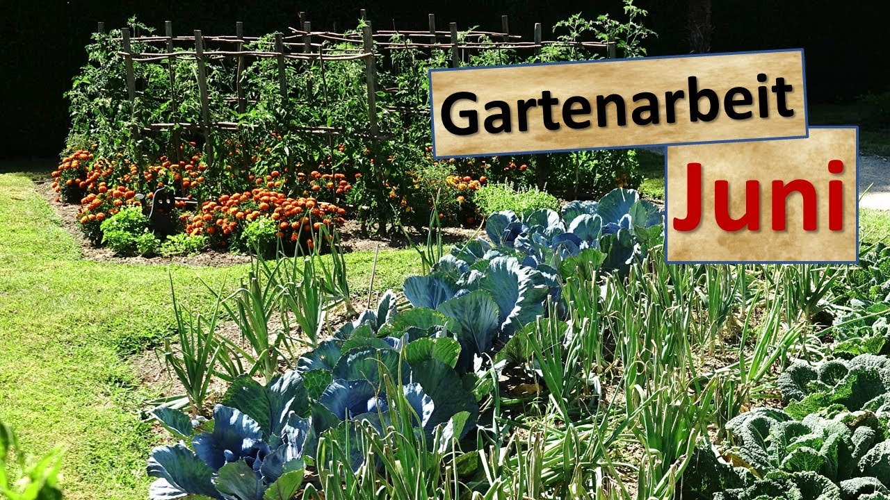 💪Gartenarbeit Juni🌱, Bohnen, 🍅Tomaten, Gurken 🥒pflanzen, Blütenvielfalt🌻entdecken etc.