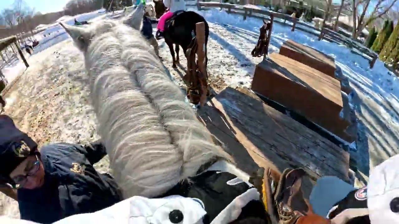 Rocking Horse Ranch, Highland, NY 01.31.2026 Horse-riding with family #1