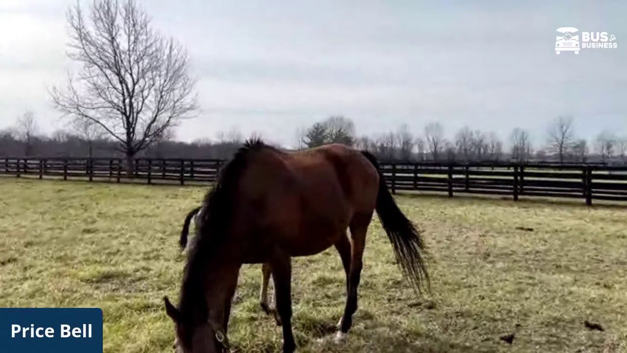 Bus to Business live session with Mill Ridge Farm in partnership with Horse Country