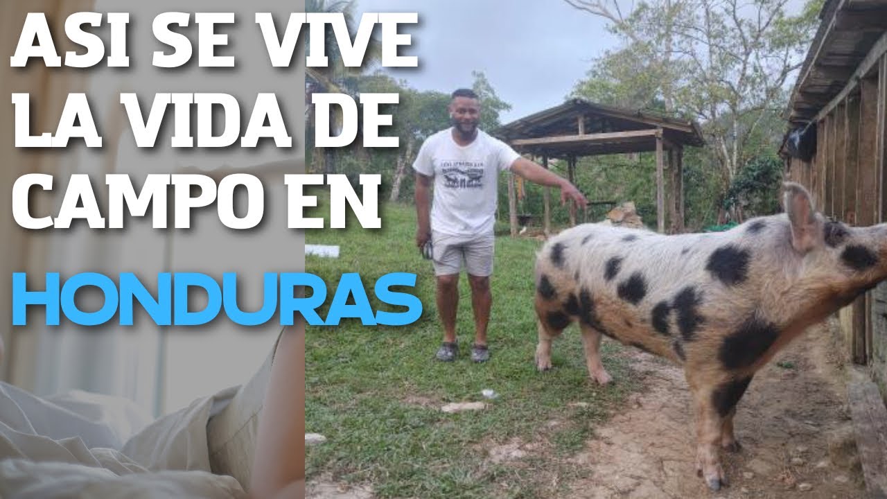 ASI SE VIVE LA VIDA DEL CAMPO EN HONDURAS 2023