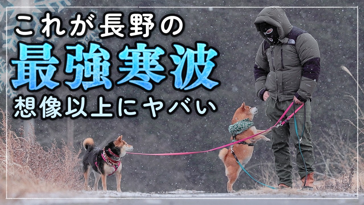柴犬｜最強寒波の朝。それでも悪くない八ヶ岳の平屋暮らし