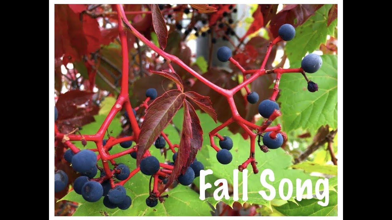 Fall Song by Jeanette Arsenault
