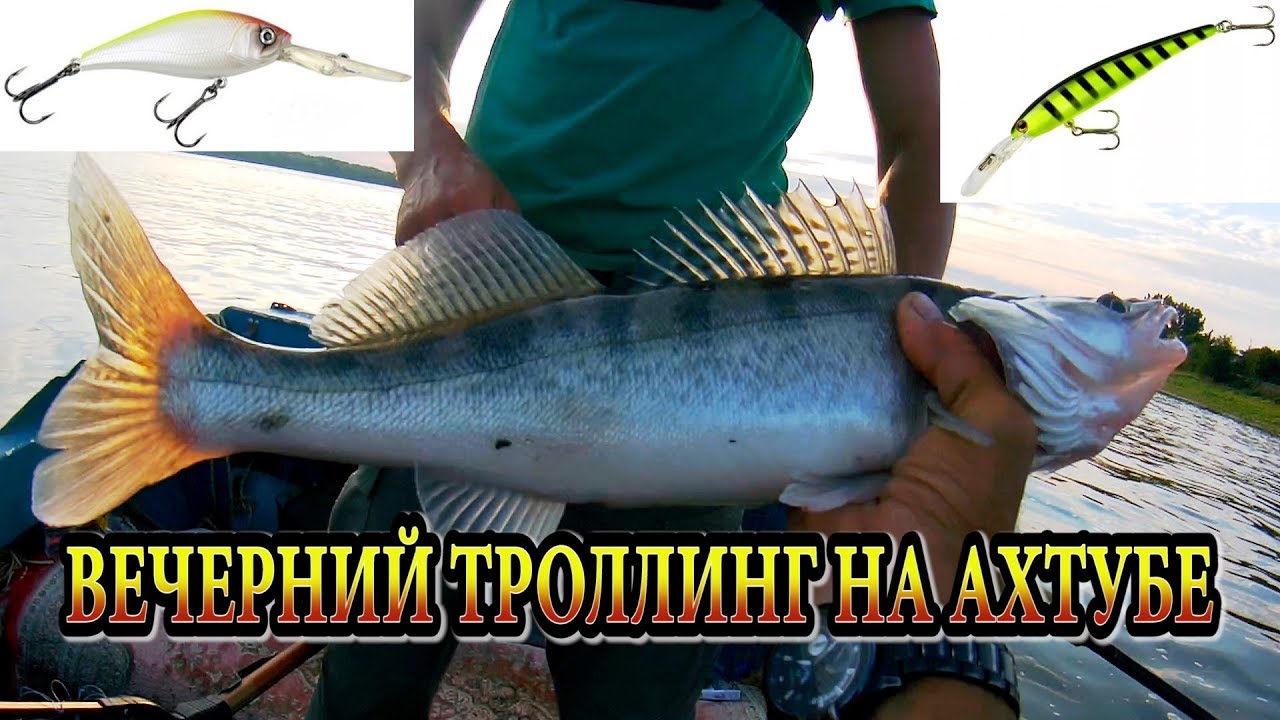 ВЕЧЕРНИЙ ТРОЛЛИНГ НА АХТУБЕ ПОД БАЗОЙ