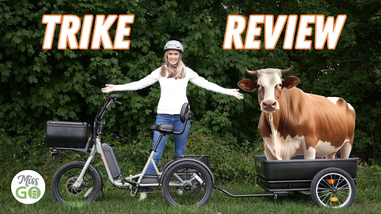 Обзор Rad Power Bikes RadTrike (электрический трёхколёсный велосипед за 1599 долларов)
