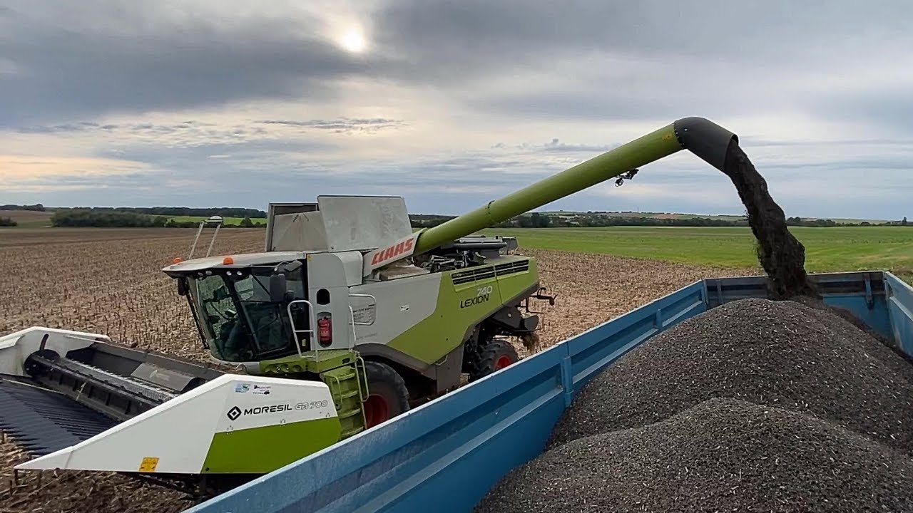RÉCOLTE DE TOURNESOL 2021 🌻 CLAAS LEXION 740 & MORESIL GB 700 !!! PEL ET DER