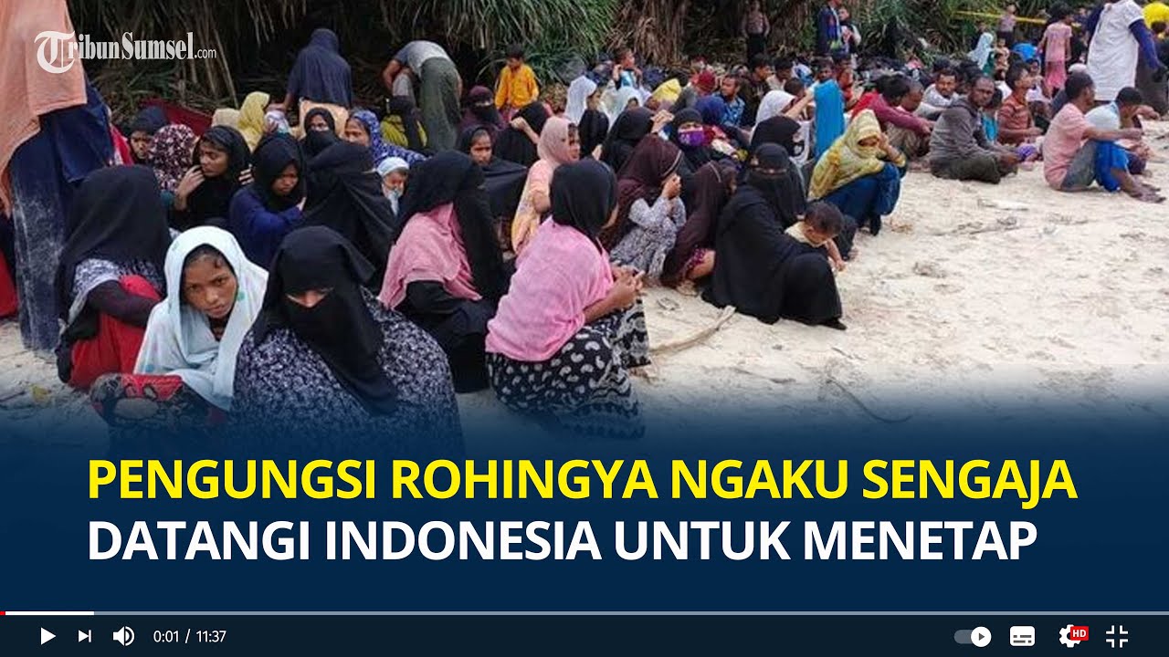 Bukan Terdampar, Pengungsi Rohingya Ngaku Sengaja Datangi Indonesia untuk Menetap:Kami Tak Mau Pergi