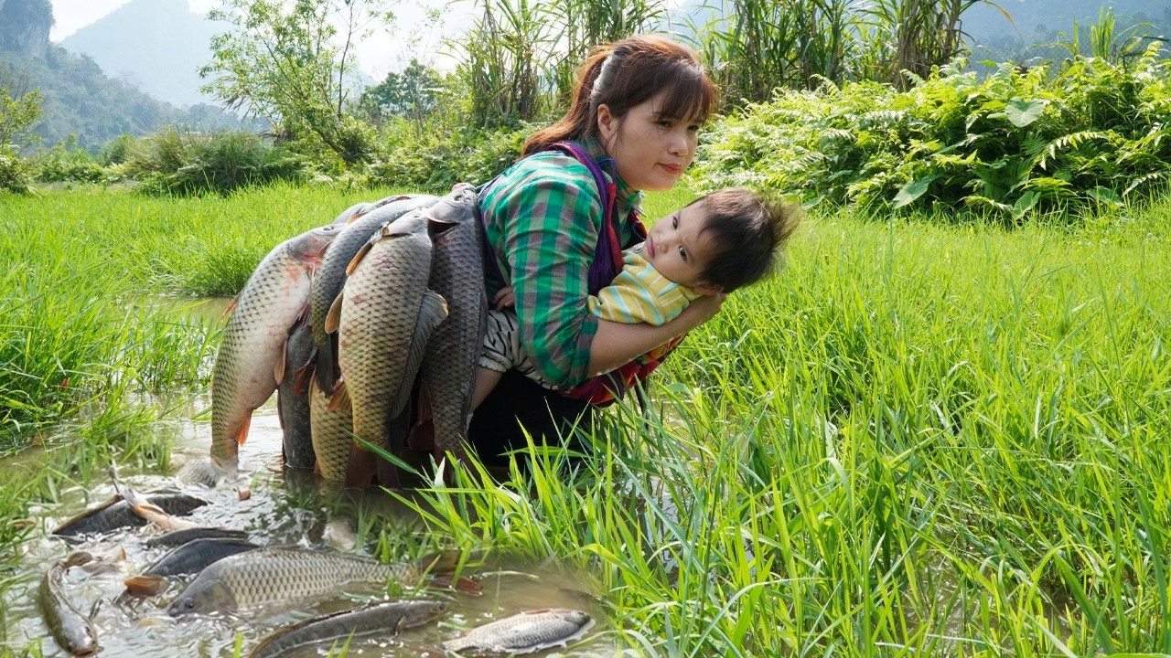 How to catch giant fish: Genius girl catches and traps many large fish using homemade traps.