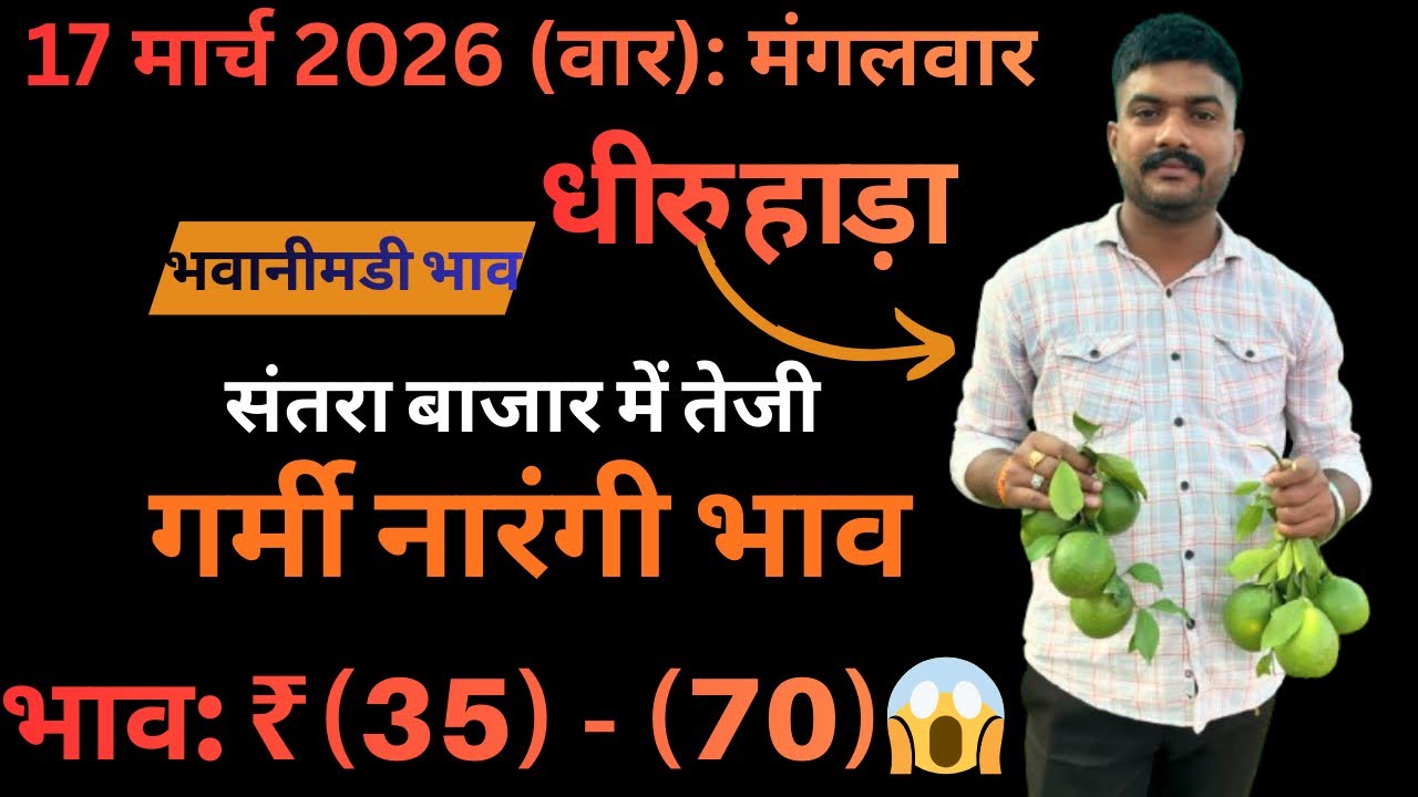 नारंगी ने दिखाए रंग😍🍊लेवाली मै जोश||आवक मै भारी कमी||भवानीमंडी दिनांक 17-03-26 #orenge #santra 