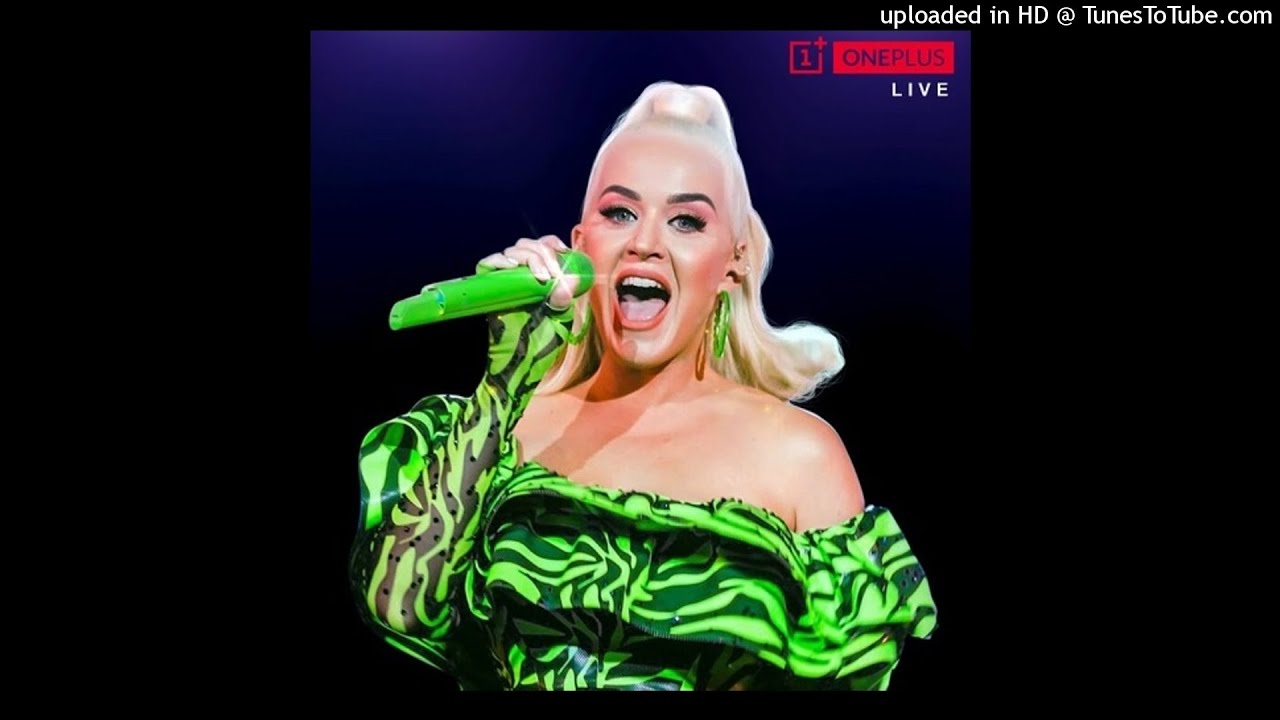 Katy Perry - Teenage Dream (Instrumental w/ Backing Vocals - OnePlus Music Festival)