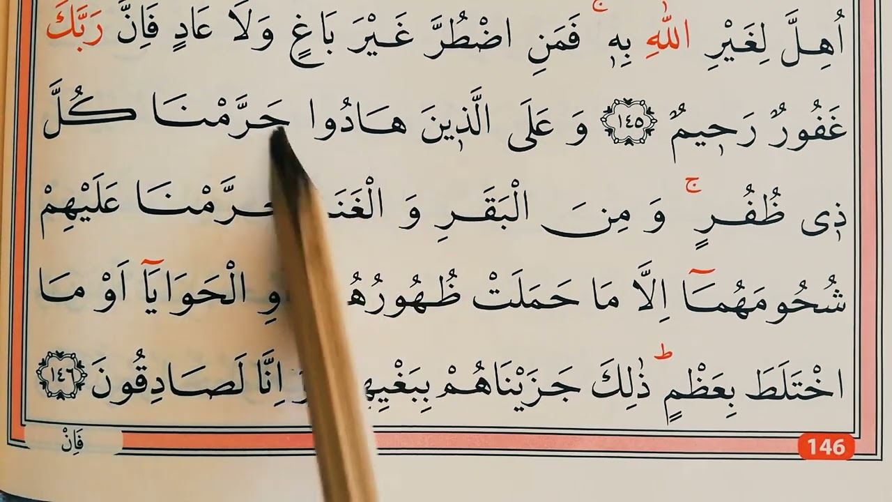 112. Kur'an-ı Kerim yeni öğrenenler / #Sayfa146-149  / Yavaş okuyuşla Hatim