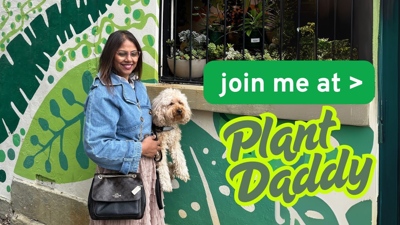Discover Plant Daddy: A Must-Visit Urban Jungle for Plant Lovers!