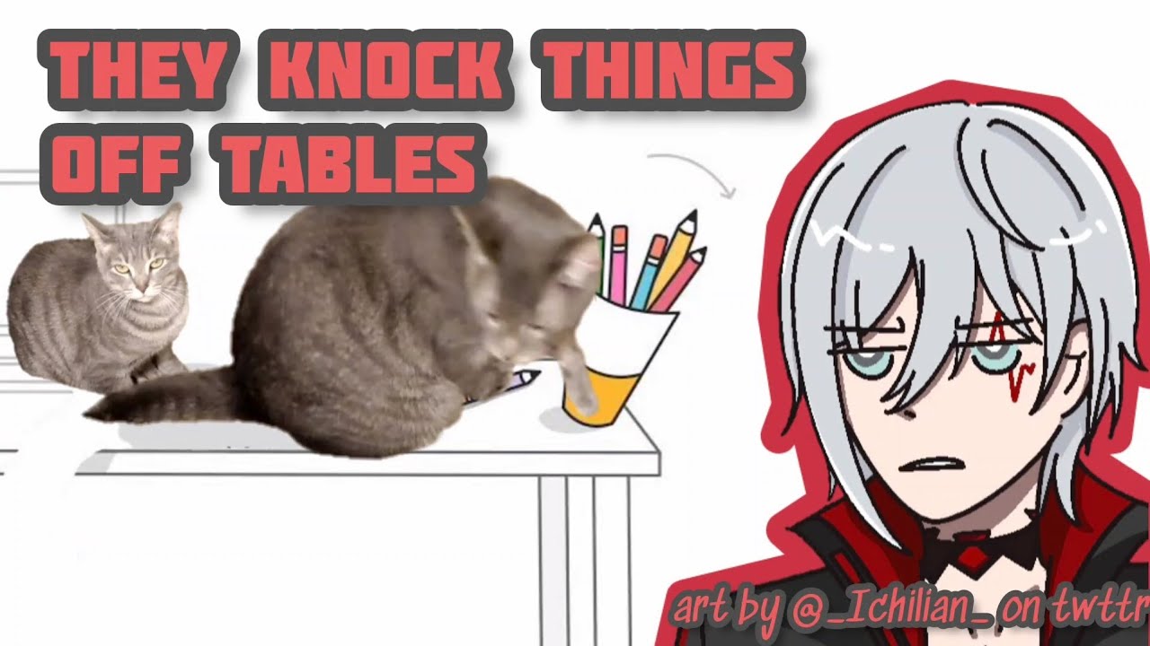 More cat,kat, & doggo talk with FULGUR