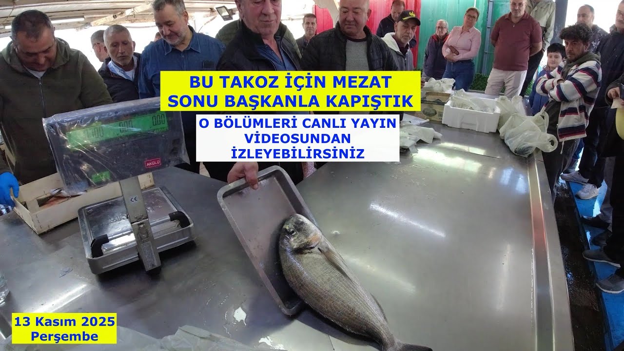13 KASIM 2025. GENİŞ AÇI. GÜNÜN BALIĞI 3.4 KİLOLUK TAKOZ ÇİPURA İDİ.