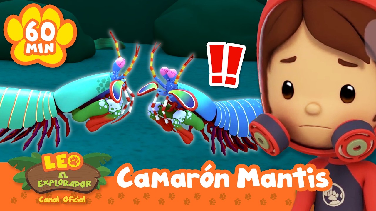 ¡Leo ve a los camarones mantis peleando EN VIVO! | Leo, El Explorador | Animación