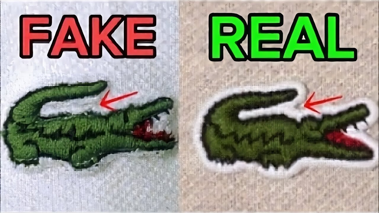How to spot a FAKE Lacoste polo shirt vs Real 2024