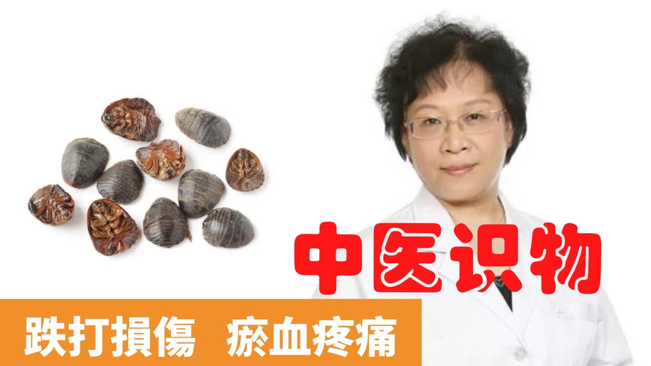 土鱉蟲功效與作用【保健養生】生生不息
