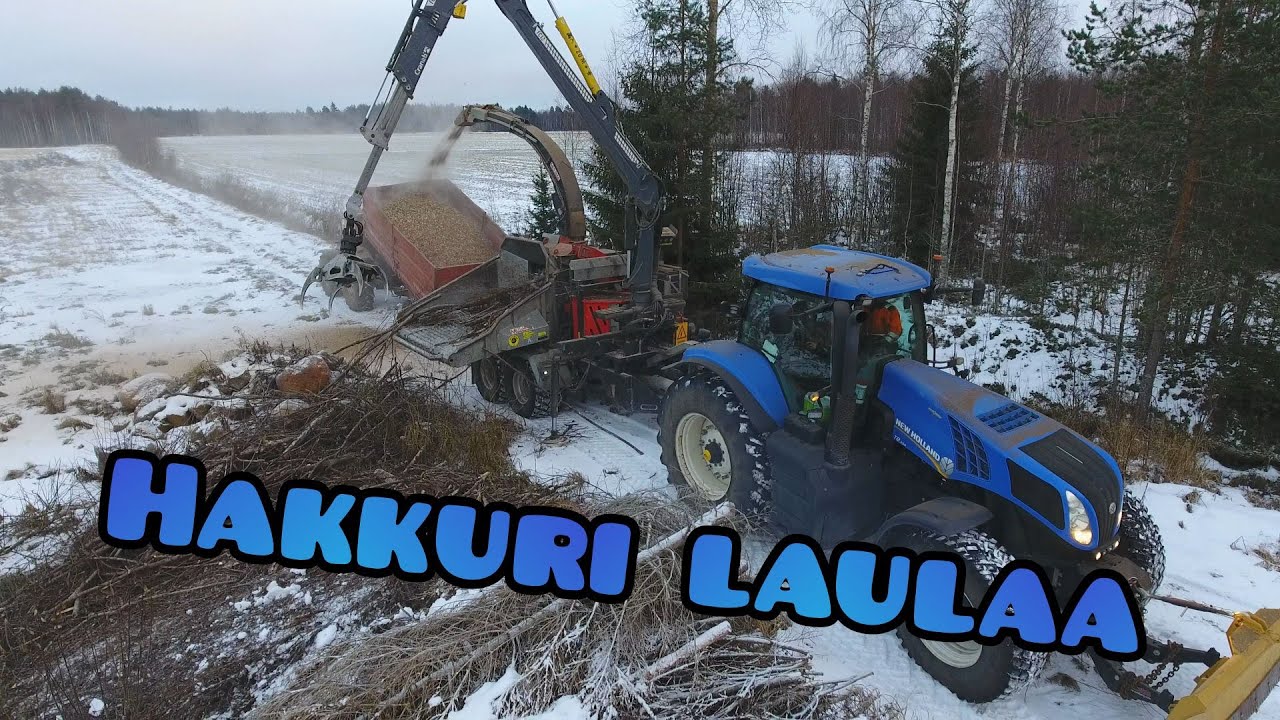 Pikku nyysky kävi hakettaan. New Holland T8.390