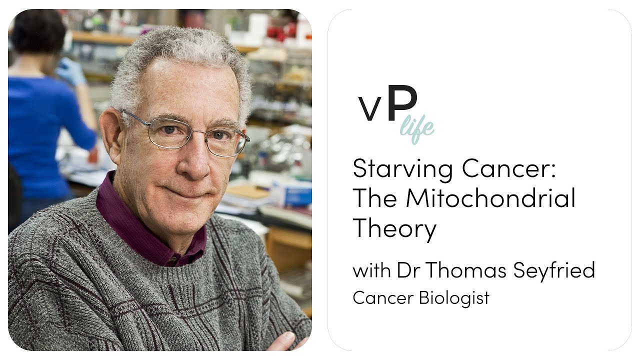 Starving Cancer: The Mitochondrial Theory with Dr. Thomas Seyfried | vP life podcast