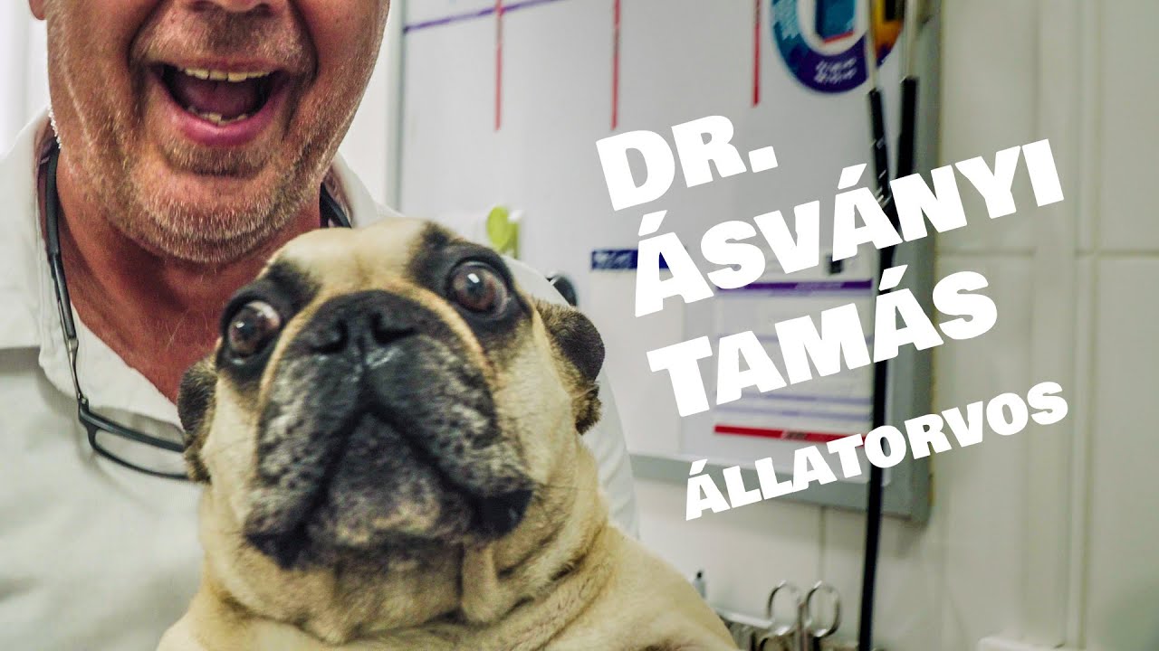 Dr. Ásványi Tamás - állatorvos