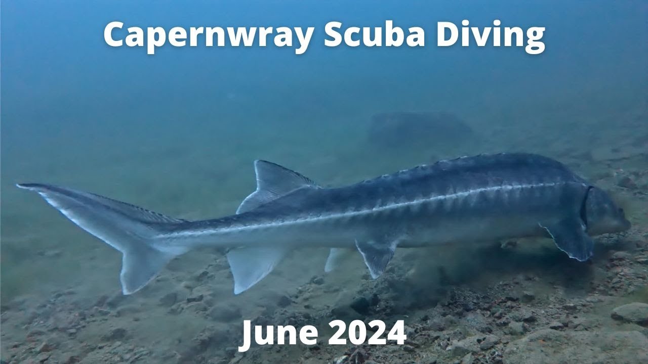 Dive Into Adventure At Capernwray Scuba Diving Centre With Marina Dive Club!