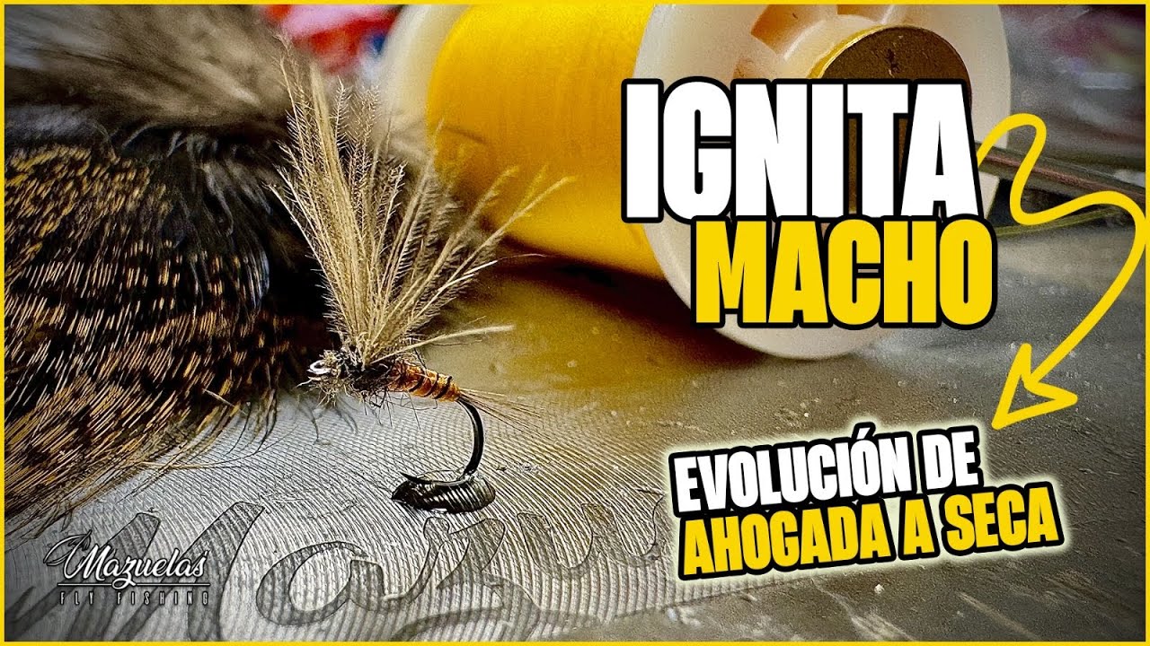 ✅Tutorial mosca seca efémera ignita. Trucos y consejos.✅Mazuelas fly fishing.
