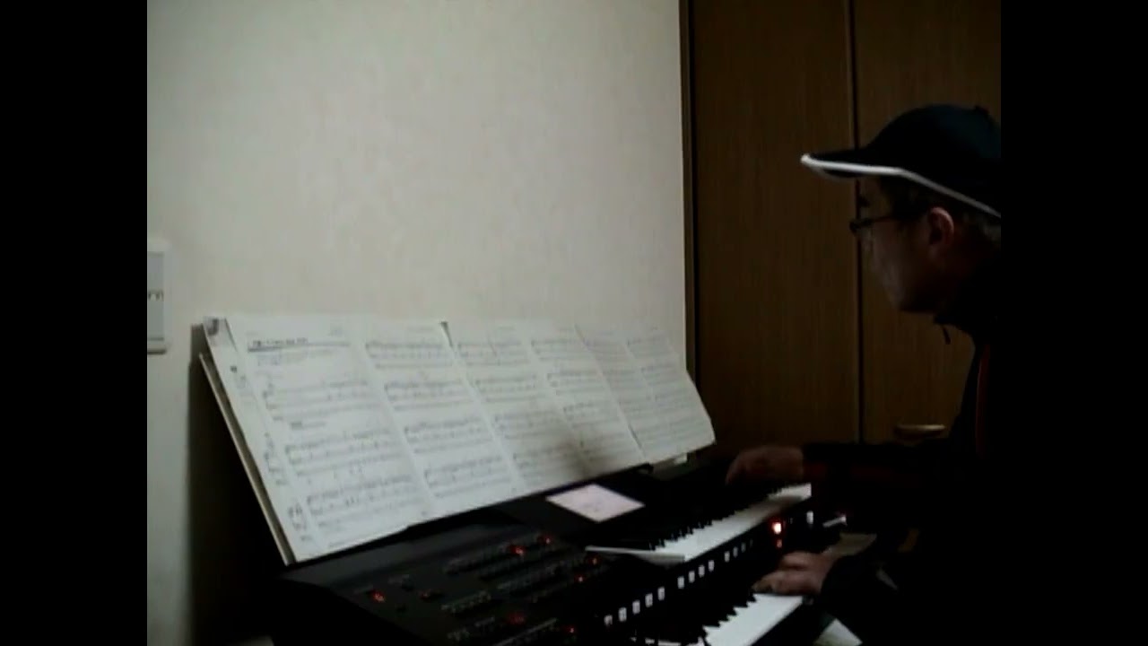 可愛くてごめん (feat. かぴ)／ハニーワークス