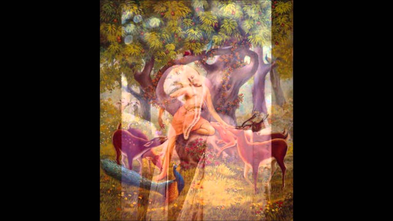 Ramayana - 38 - The Princes Meet Hanuman and Sugriva