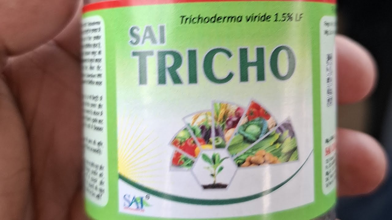 Sai tricho #farming #Tometo#New root development very fast##